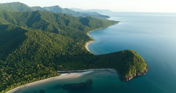 Cape Tribulation