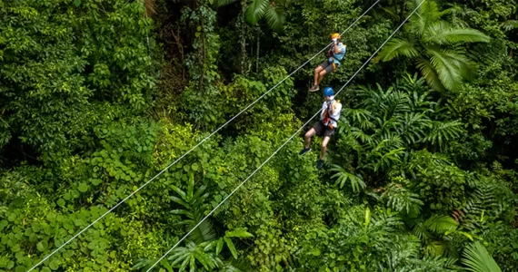 People on a Treetop Zipline